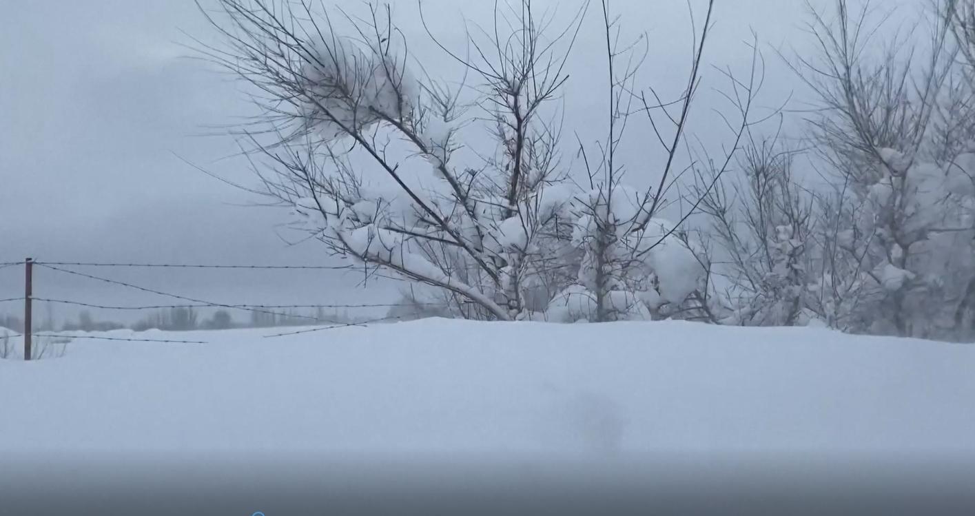 雪2_央視.jpg