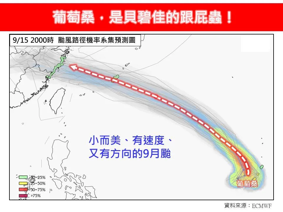 吃到大補丸！葡萄桑是貝碧佳跟屁蟲　林得恩曝「2條件」可能發布海警